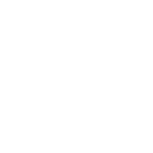 ZETA DIVISIONのロゴ